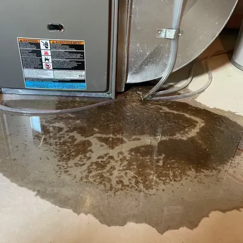 Appliance Leak Cleanup in Delta County, CO